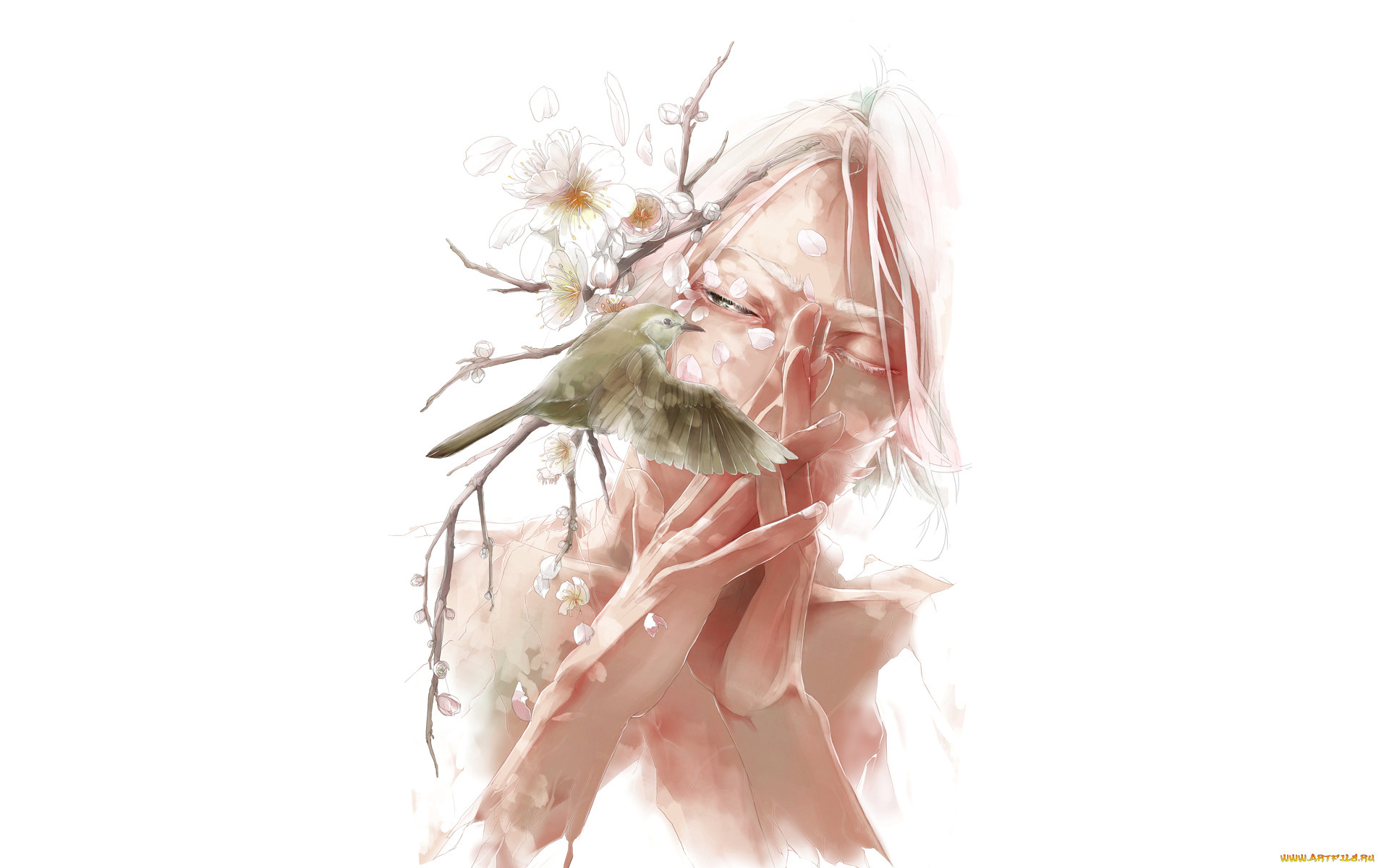 , *unknown , , , , , 